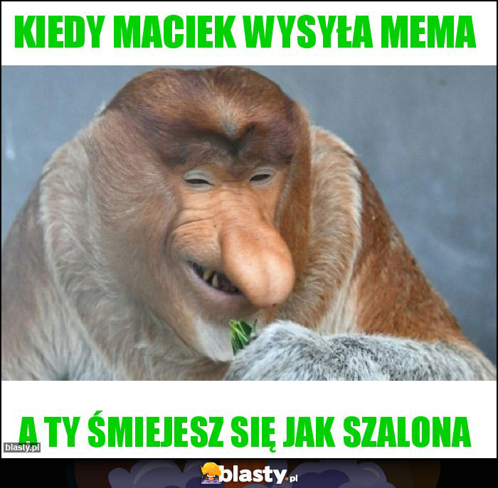 Kiedy Maciek wysyła mema Kiedy Maciek wysyła mema