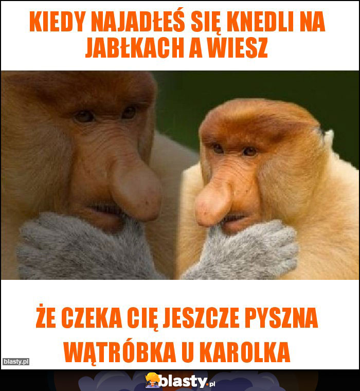 Kiedy najadłeś się knedli na jabłkach a wiesz Kiedy najadłeś się knedli na jabłkach a wiesz