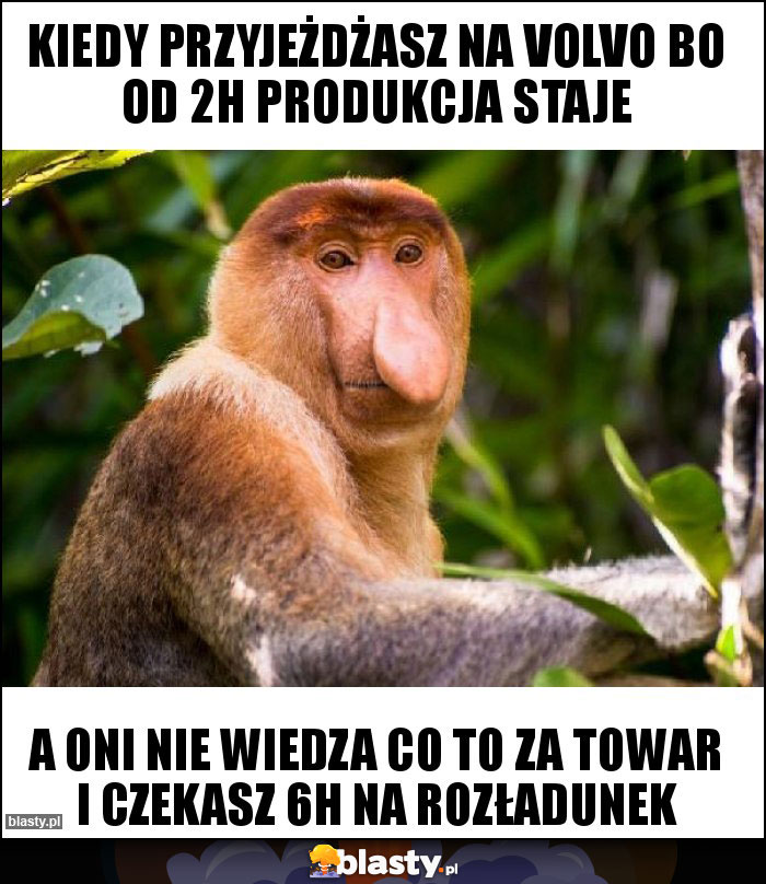 Kiedy przyjeżdżasz na Volvo bo od 2h produkcja staje Kiedy przyjeżdżasz na Volvo bo od 2h produkcja staje