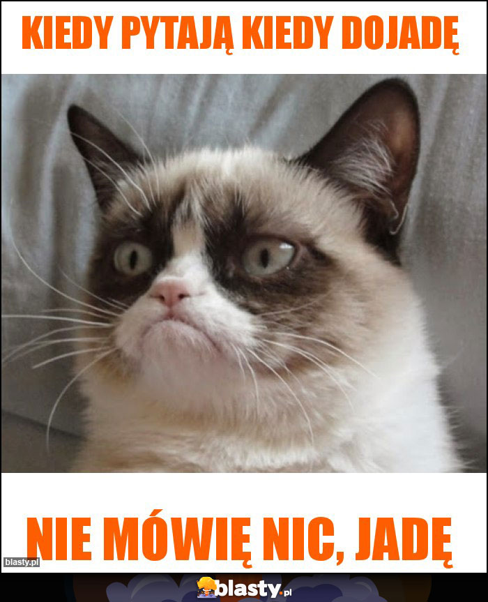 KIEDY PYTAJĄ KIEDY DOJADĘ KIEDY PYTAJĄ KIEDY DOJADĘ