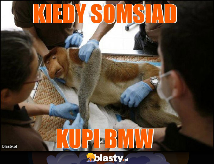 KIEDY SOMSIAD KIEDY SOMSIAD