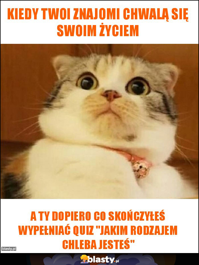 Kiedy twoi znajomi chwalą się swoim życiem Kiedy twoi znajomi chwalą się swoim życiem