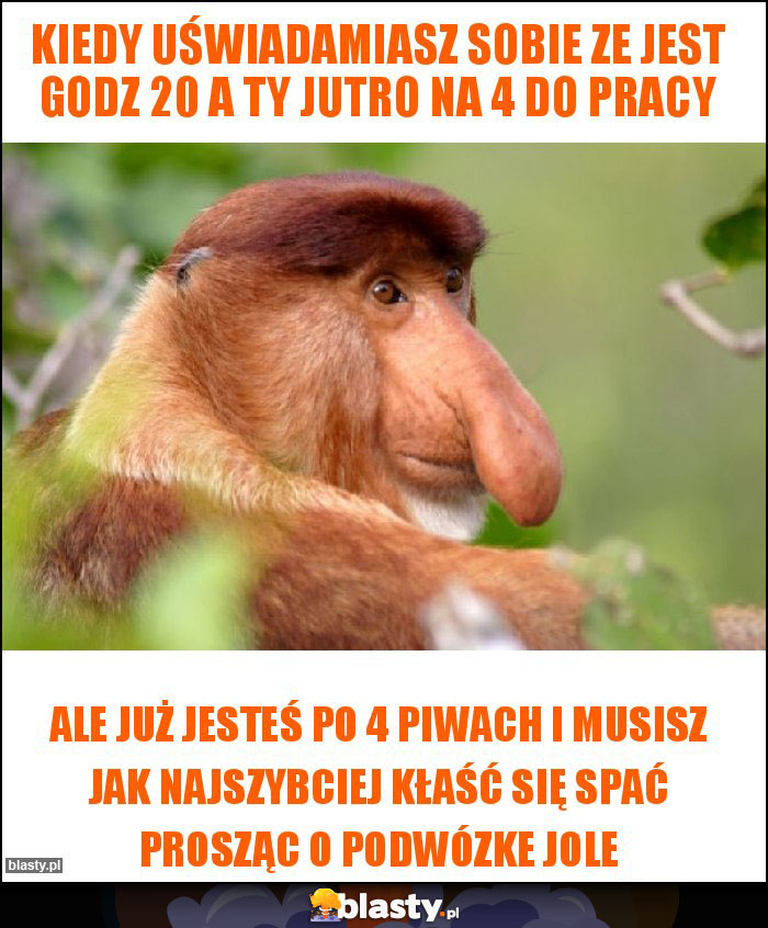 Kiedy uświadamiasz sobie ze jest godz 20 a ty jutro na 4 do pracy Kiedy uświadamiasz sobie ze jest godz 20 a ty jutro na 4 do pracy