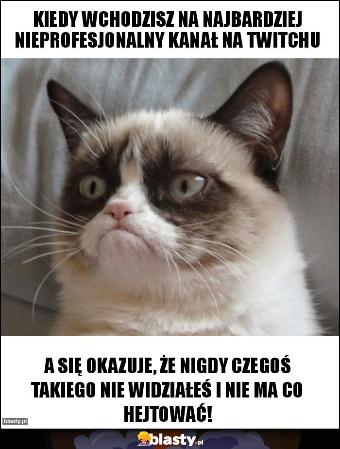 Kiedy wchodzisz na najbardziej NIEprofesjonalny kanał na Twitchu Kiedy wchodzisz na najbardziej NIEprofesjonalny kanał na Twitchu