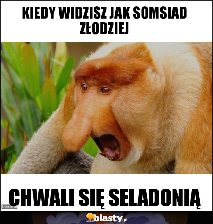 Kiedy widzisz jak somsiad złodziej Kiedy widzisz jak somsiad złodziej