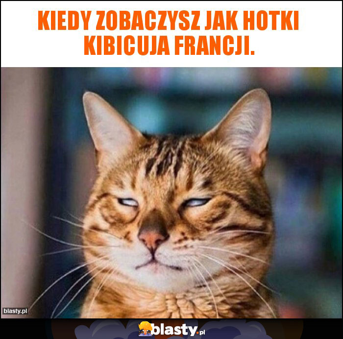 Kiedy zobaczysz jak hotki kibicuja Francji. Kiedy zobaczysz jak hotki kibicuja Francji.