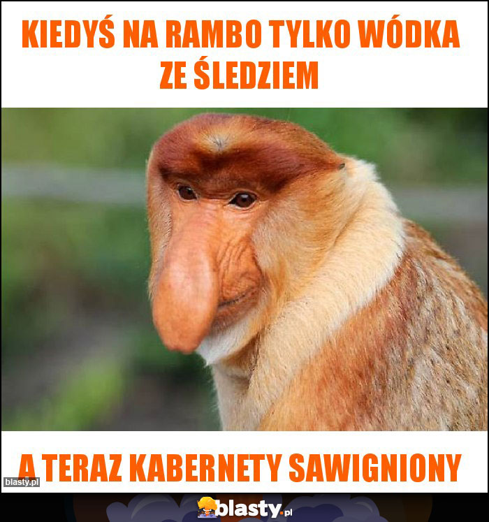 Kiedyś na RAMBO tylko wódka ze śledziem Kiedyś na RAMBO tylko wódka ze śledziem