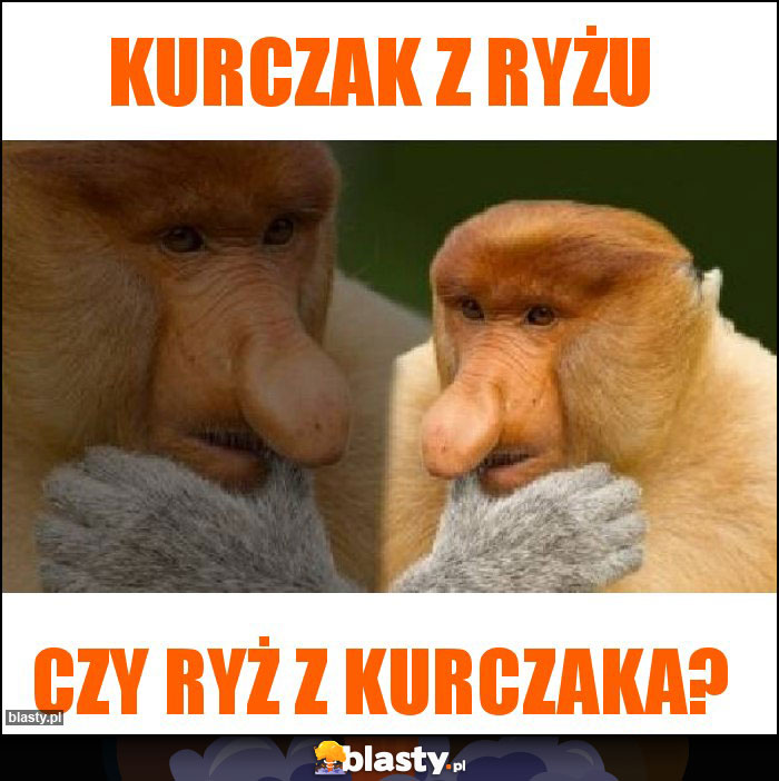 Kurczak z ryżu Kurczak z ryżu