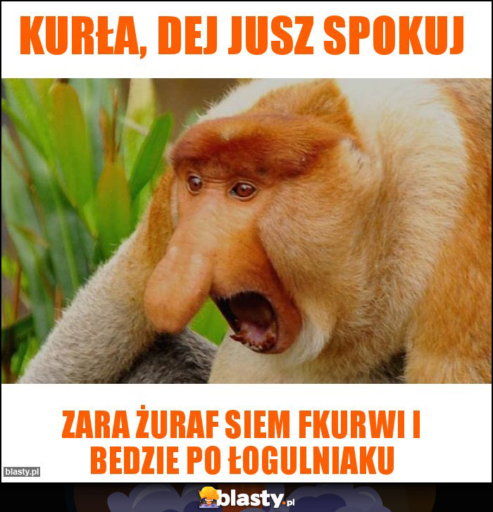 Kurła, dej jusz spokuj Kurła, dej jusz spokuj
