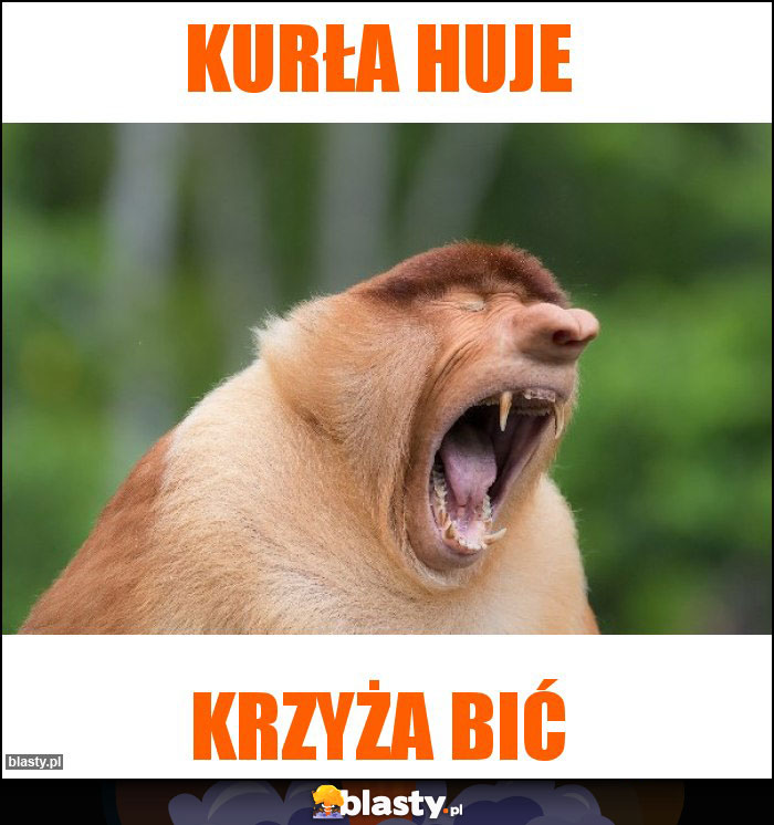 Kurła huje Kurła huje