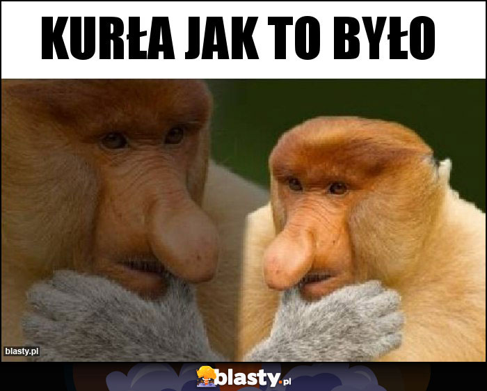 Kurła jak to było Kurła jak to było