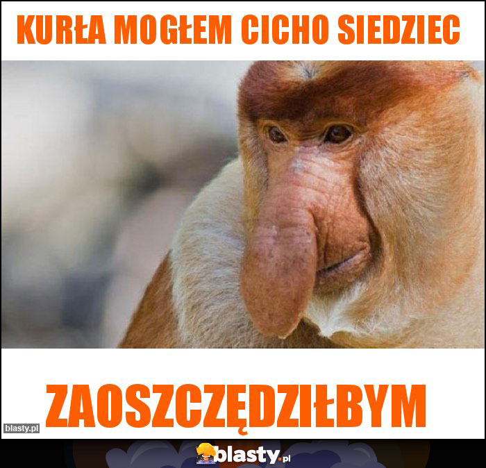 Kurła mogłem cicho siedziec Kurła mogłem cicho siedziec