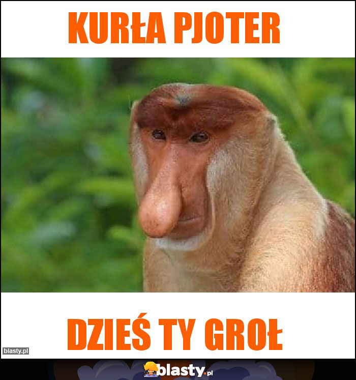 Kurła Pjoter Kurła Pjoter