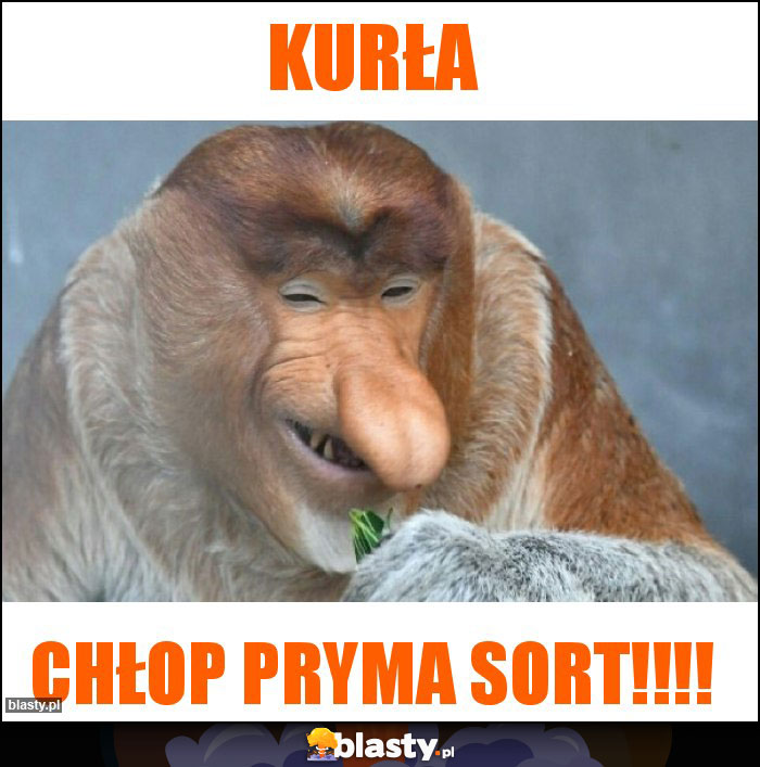 KURŁA