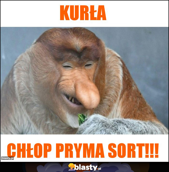 KURŁA