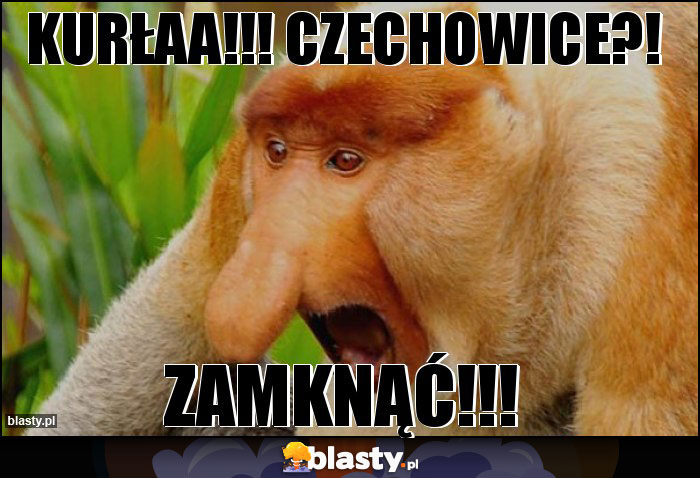 KURŁAA!!! CZECHOWICE?! KURŁAA!!! CZECHOWICE?!