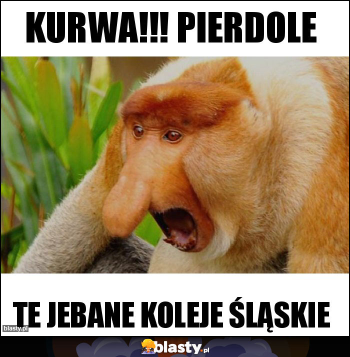 Kurwa!!! pierdole