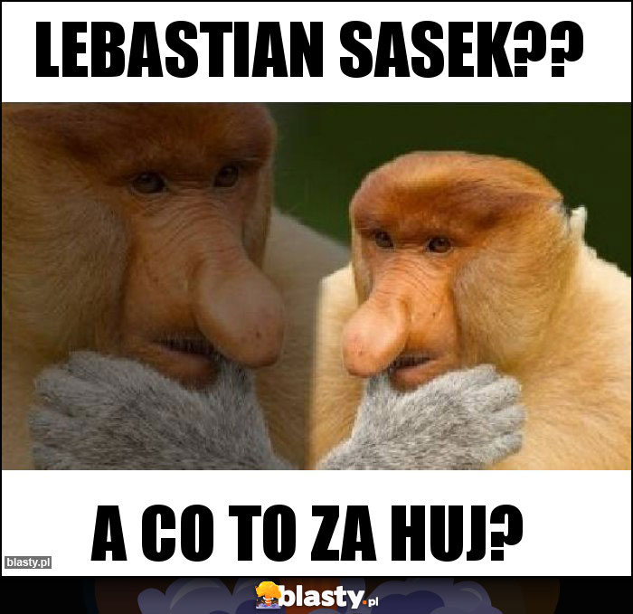 Lebastian Sasek?? Lebastian Sasek??