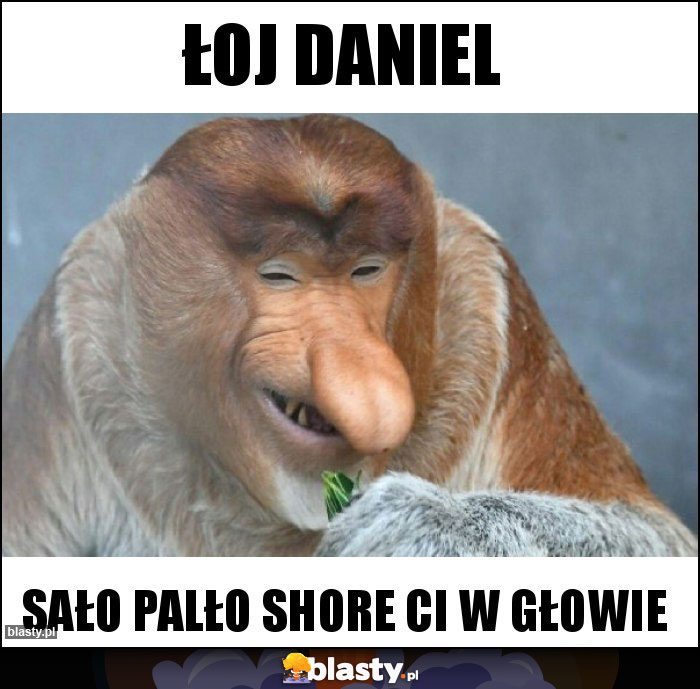 Łoj Daniel Łoj Daniel