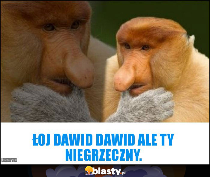 Łoj Dawid Dawid ale ty niegrzeczny. Łoj Dawid Dawid ale ty niegrzeczny.