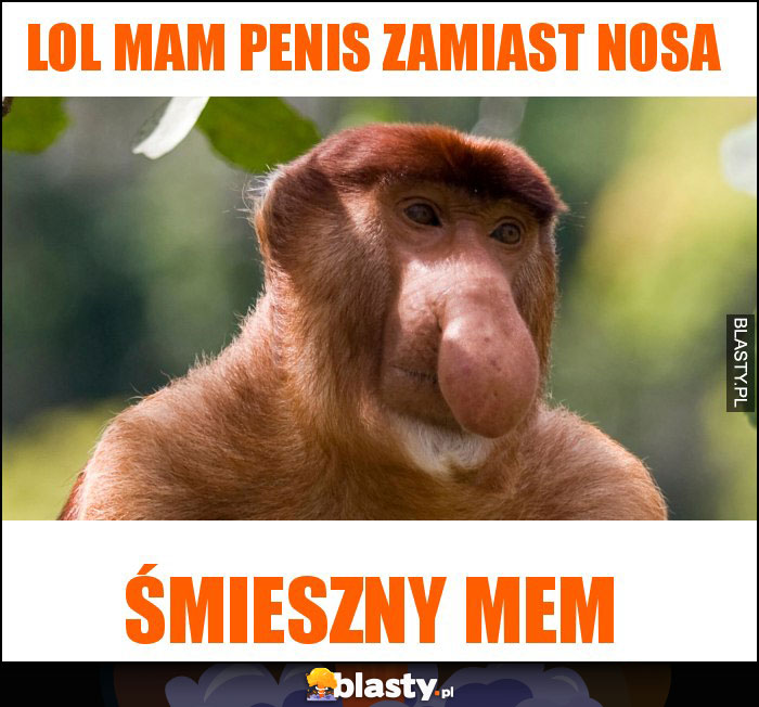 Lol mam penis zamiast nosa Lol mam penis zamiast nosa