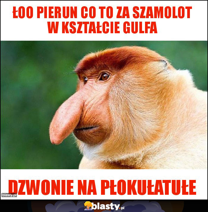 Łoo pierun co to za szamolot w kształcie gulfa Łoo pierun co to za szamolot w kształcie gulfa