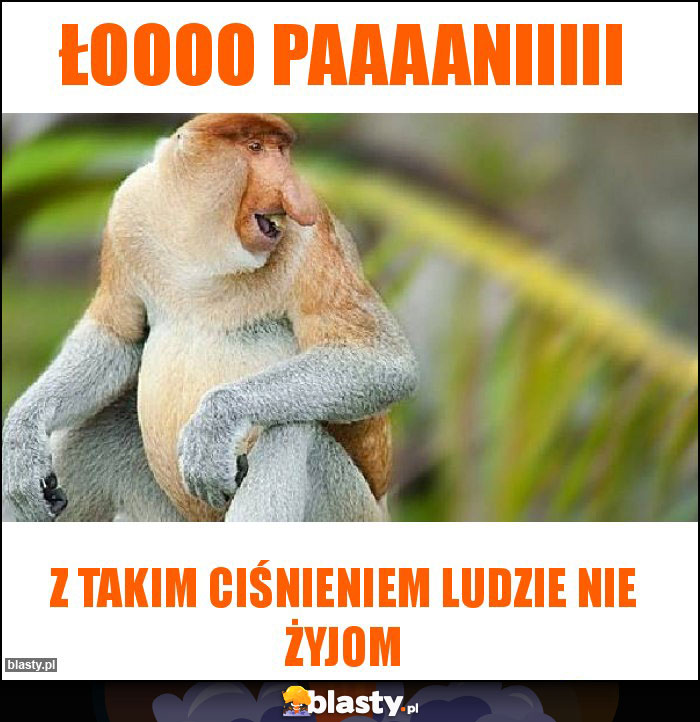 Łoooo Paaaaniiiii Łoooo Paaaaniiiii