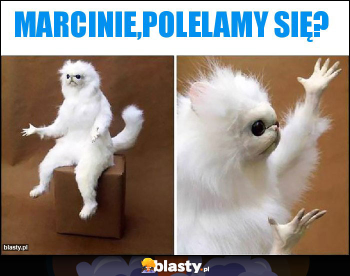 Marcinie,polelamy się? Marcinie,polelamy się?