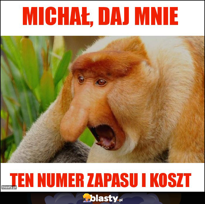 Michał, daj mnie Michał, daj mnie