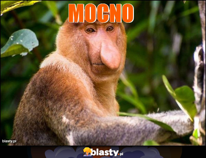 Mocno