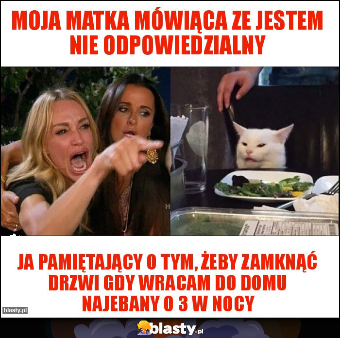 Moja matka mówiąca ze jestem nie odpowiedzialny Moja matka mówiąca ze jestem nie odpowiedzialny