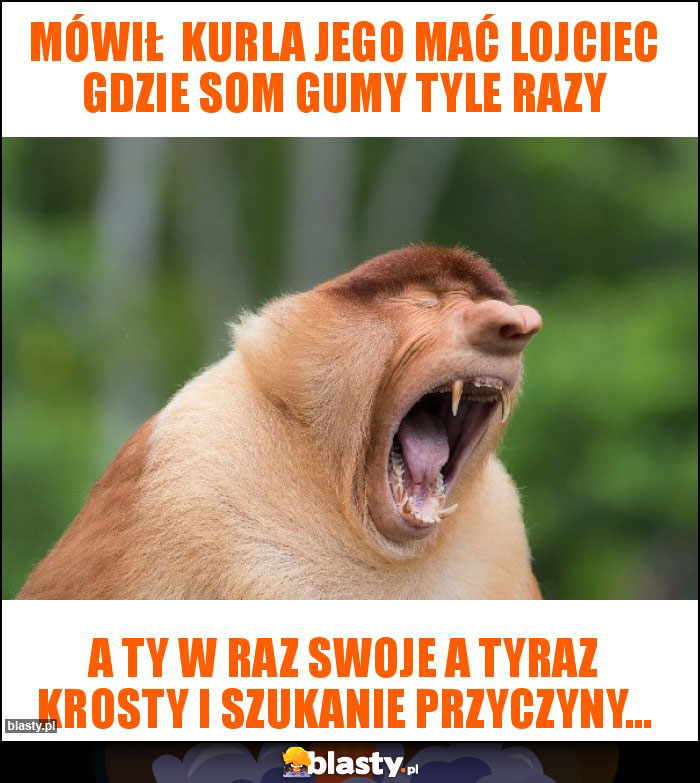 Mówił kurla jego mać lojciec gdzie som gumy tyle razy Mówił kurla jego mać lojciec gdzie som gumy tyle razy