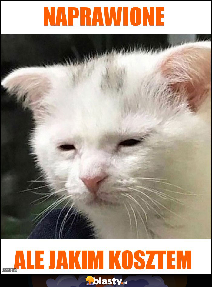 Naprawione Naprawione