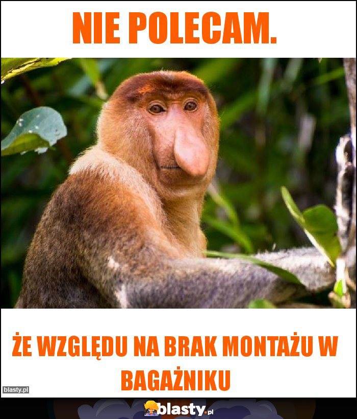 Nie polecam. Nie polecam.