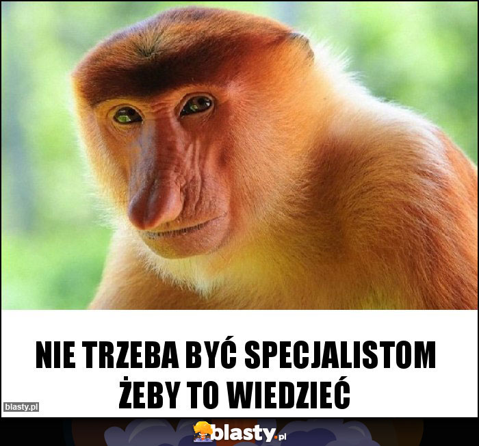 Nie trzeba być specjalistom żeby to wiedzieć Nie trzeba być specjalistom żeby to wiedzieć