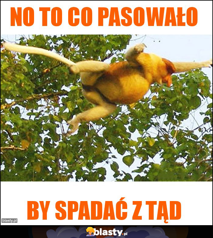 No to co pasowało No to co pasowało