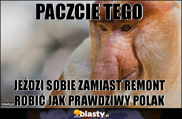 Paczcie tego Paczcie tego