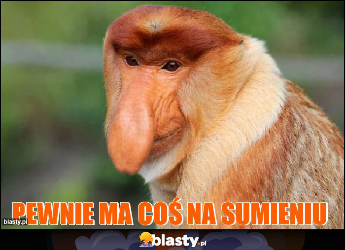 PEWNIE MA COŚ NA SUMIENIU PEWNIE MA COŚ NA SUMIENIU