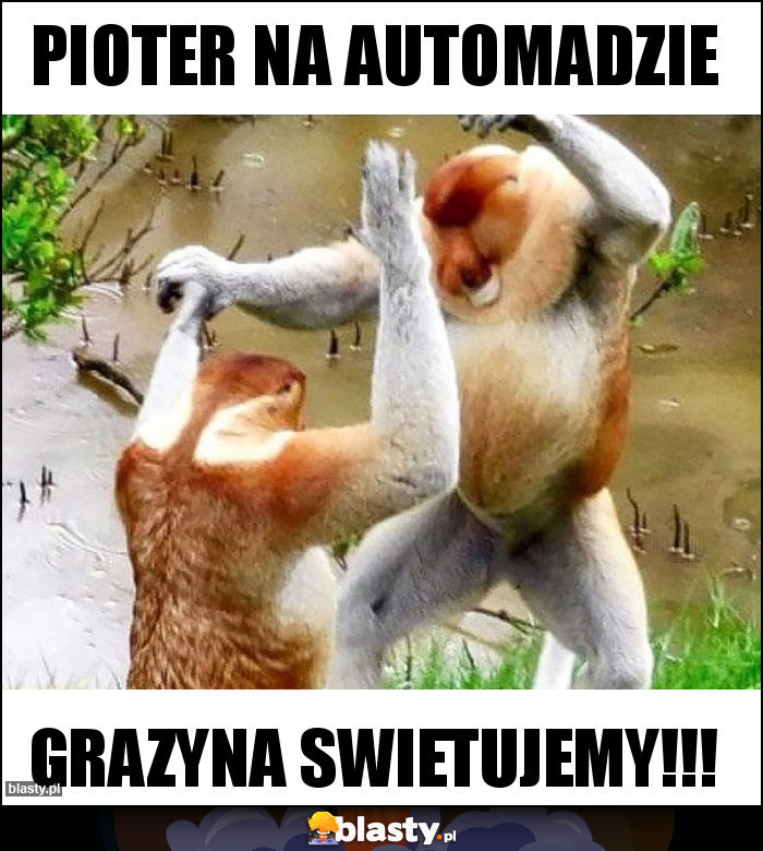 Pioter na automadzie Pioter na automadzie