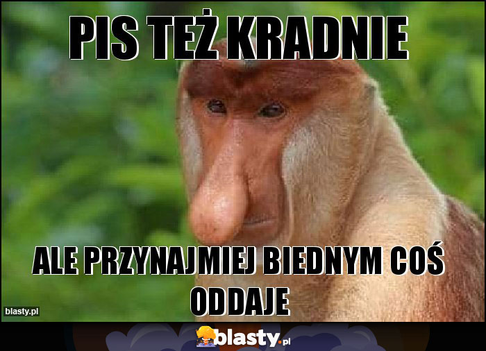 PIS TEŻ KRADNIE