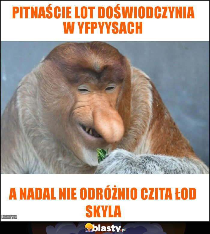 Pitnaście lot doświodczynia w yfpyysach Pitnaście lot doświodczynia w yfpyysach