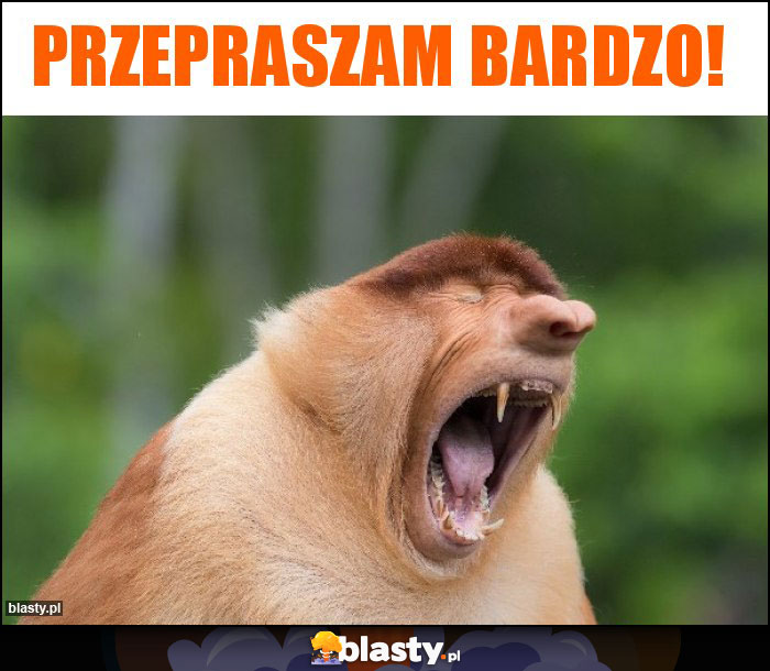 PRZEPRASZAM BARDZO! PRZEPRASZAM BARDZO!