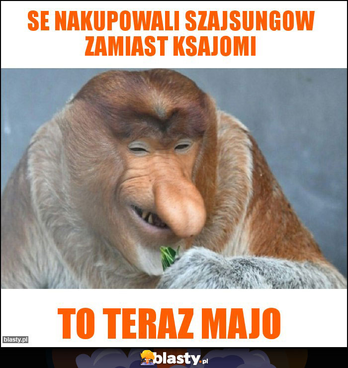 SE NAKUPOWALI SZAJSUNGOW ZAMIAST KSAJOMI SE NAKUPOWALI SZAJSUNGOW ZAMIAST KSAJOMI