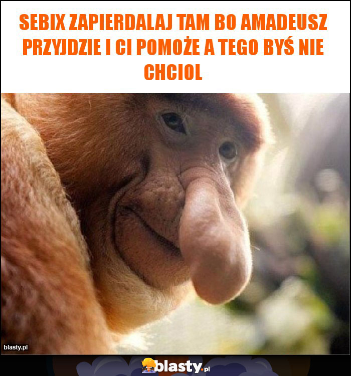 Sebix zapierdalaj tam bo Amadeusz przyjdzie I ci pomoże A tego byś nie chciol Sebix zapierdalaj tam bo Amadeusz przyjdzie I ci pomoże A tego byś nie chciol