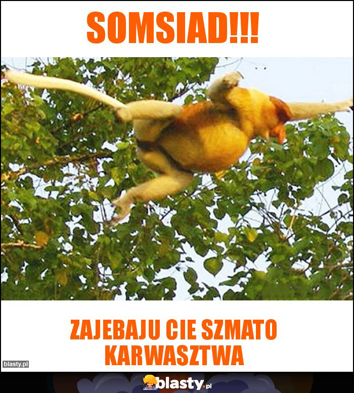 Somsiad!!! Somsiad!!!