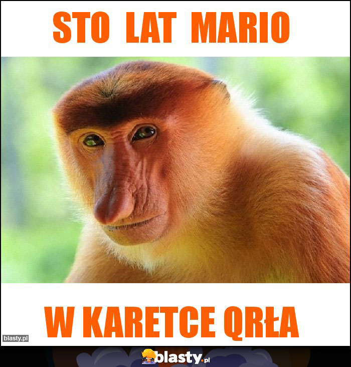 STO LAT Mario STO LAT Mario