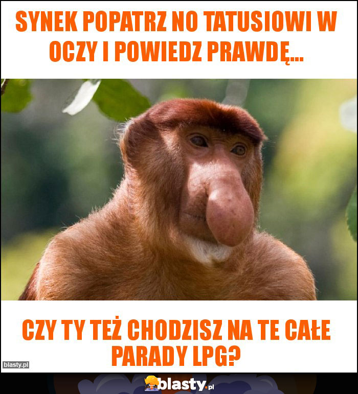 Synek popatrz no tatusiowi w oczy i powiedz prawdę... Synek popatrz no tatusiowi w oczy i powiedz prawdę...