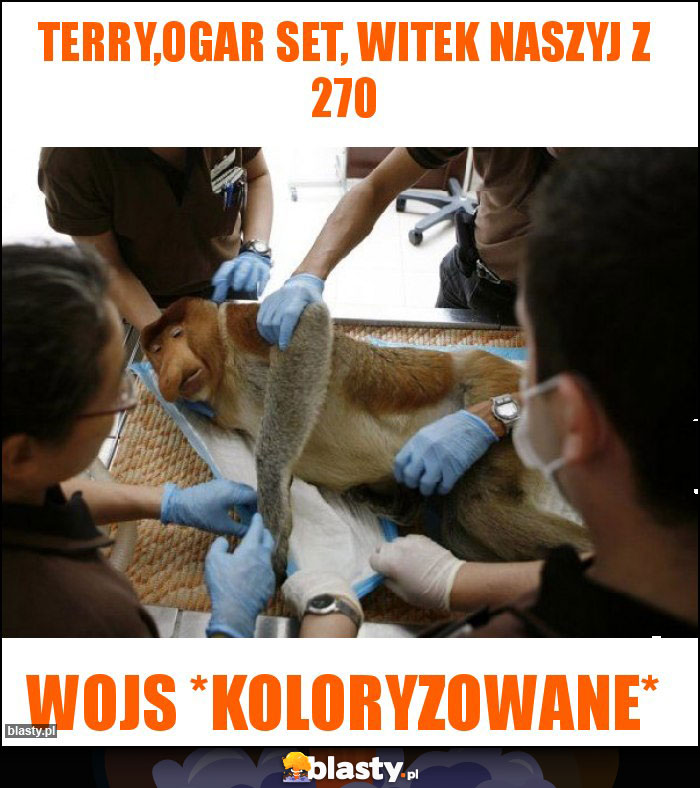Terry,ogar set, witek naszyj z 270 Terry,ogar set, witek naszyj z 270