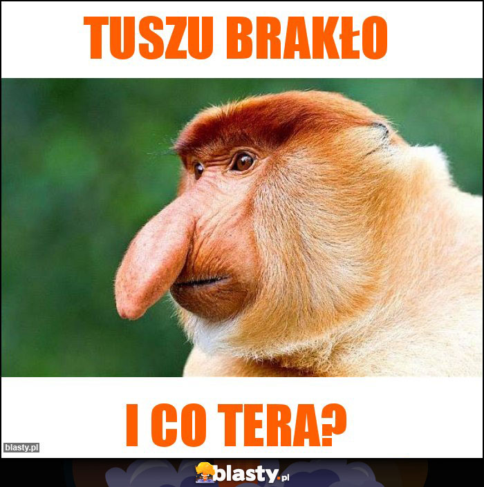 Tuszu brakło Tuszu brakło