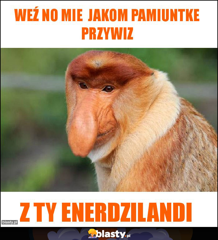 Weź no mie jakom pamiuntke przywiz Weź no mie jakom pamiuntke przywiz